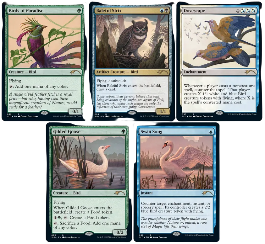 Secret Lair Drop: Summer Superdrop - Ornithological Studies - Non-Foil Edition